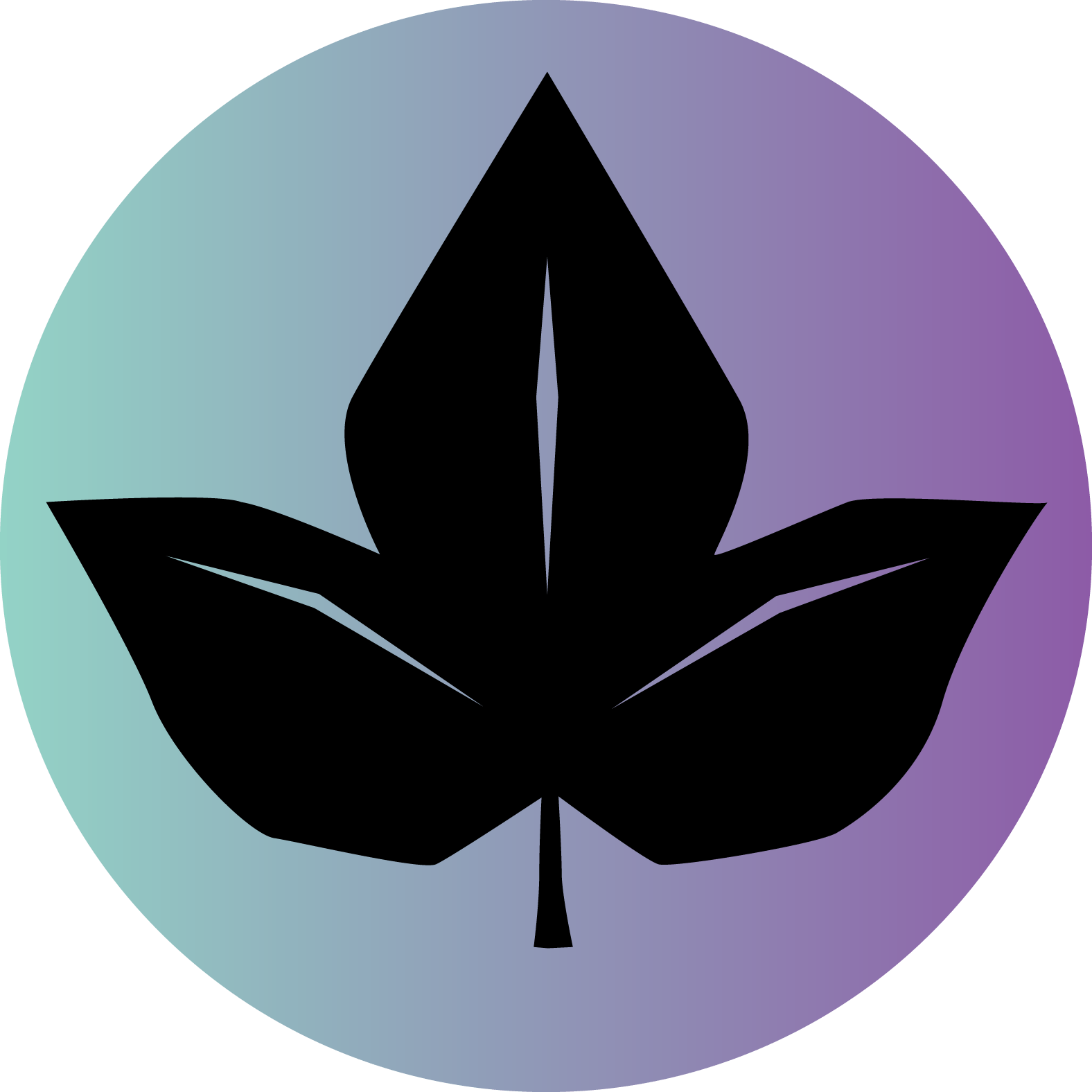 IvyFi Image